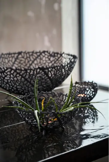 Capture d'écran 2025-03-10 170752.webp