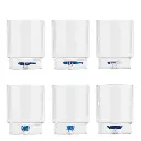 [ZAFFERANO] Assortiment verre Teca lot de 6