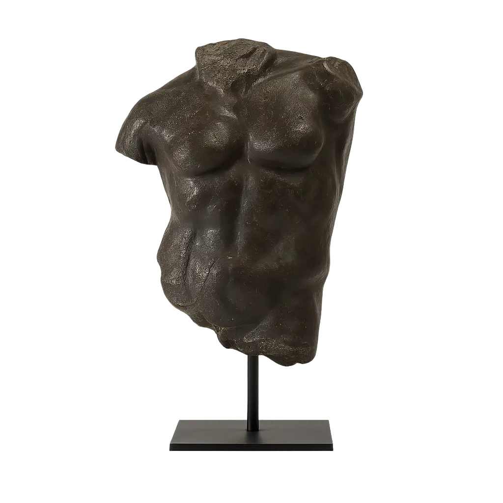 [PURE WHITE LINES] Small Bronze Maximillian Torso