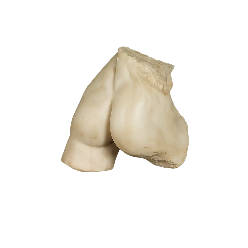 [PURE WHITE LINES] Keelan Buttocks