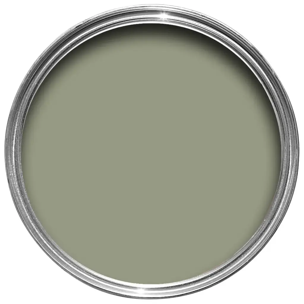 Lichen N° 19
