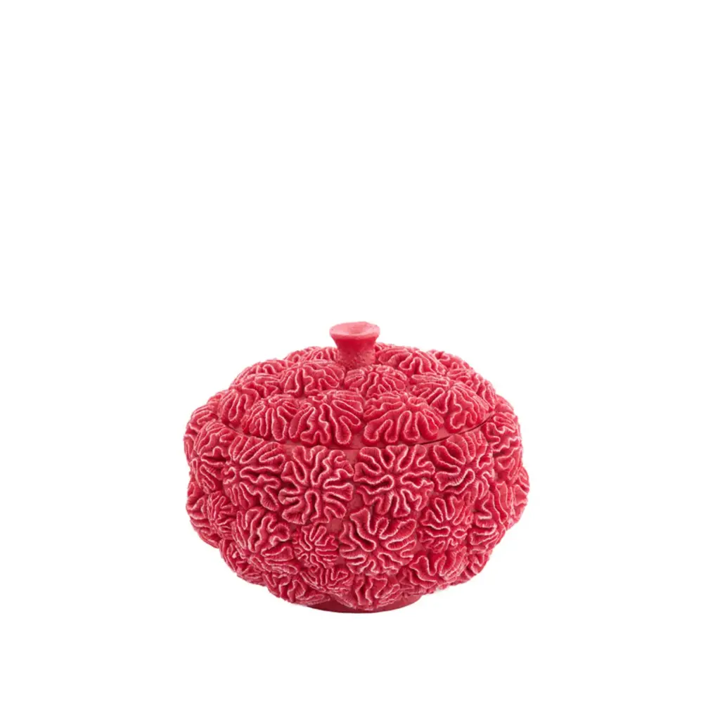 Rangement déco + couvercle Ø20x15,5 cm CORAIL rouge