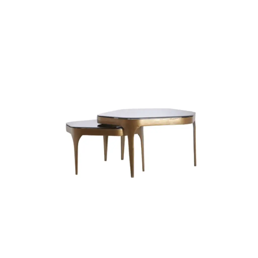 Table basse S/2 max 77x70x42 cm AVI verre fumé+ant bronze