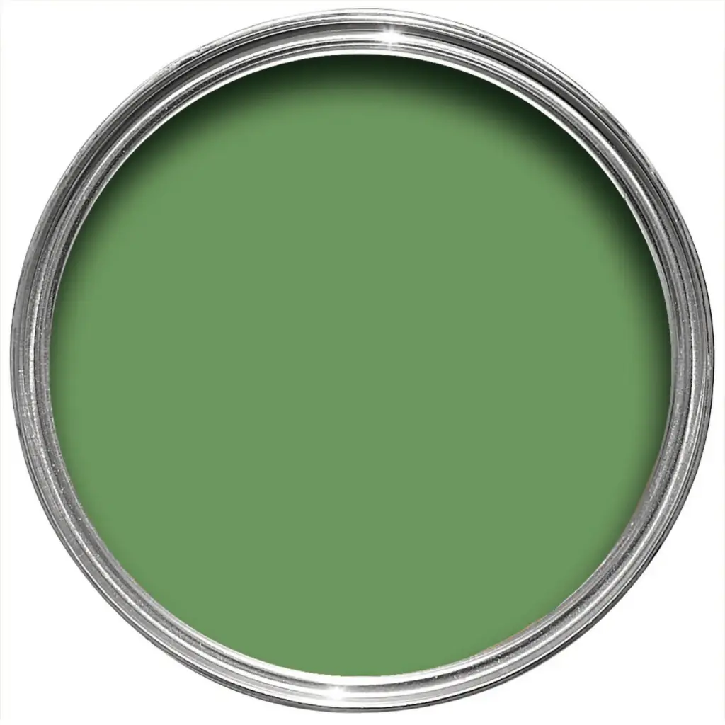 [Farrow & Ball] Raw Tomatillo N° CB6