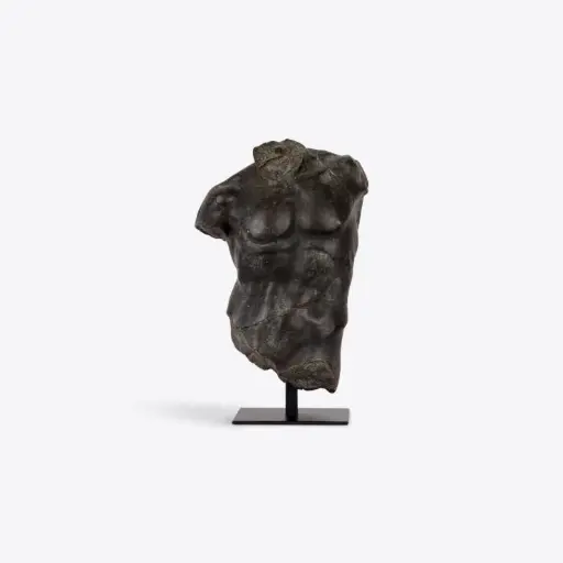 [PU-PWL86227-MG-023C] [PURE WHITE LINES] Small Bronze Maximillian Torso