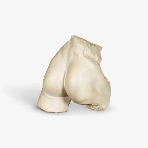 [PU-PWL64622-MG003] [PURE WHITE LINES] Keelan Buttocks