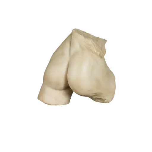 [PU-PWL64622-MG003] [PURE WHITE LINES] Keelan Buttocks