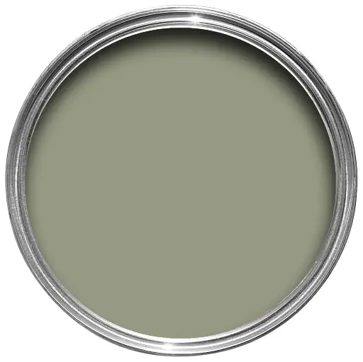 Lichen N° 19
