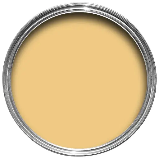 Yellow Ground N° 218