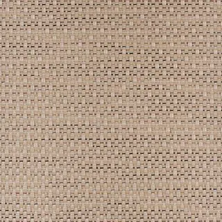 [BOLON] EMERGE