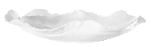 [SH-43682] Plat style organique céramique brillant blanc